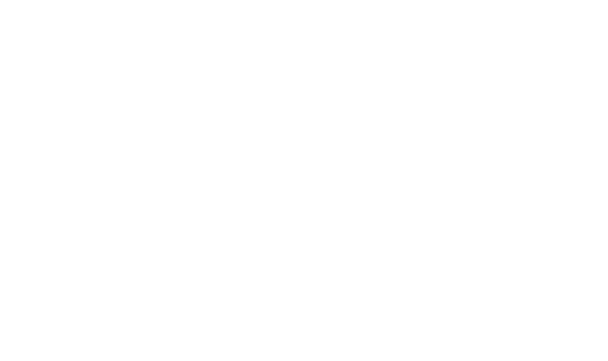 PEDRO ERDOZAIN CASTIELLA