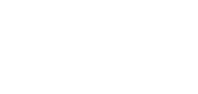 PEDRO ERDOZAIN CASTIELLA